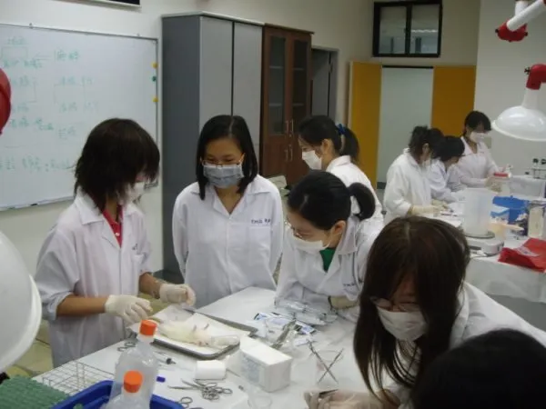 女兒研究所動物實驗