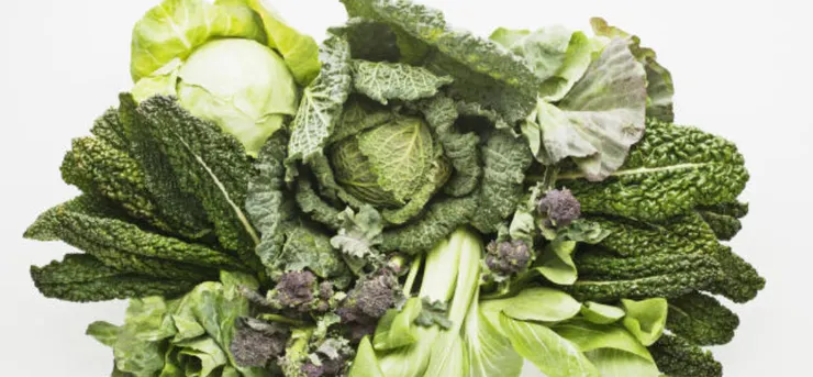 回復餐以葉菜類蔬菜為主