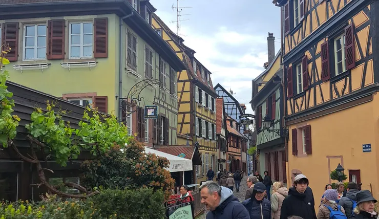 像不像在迪士尼 哈...真實版