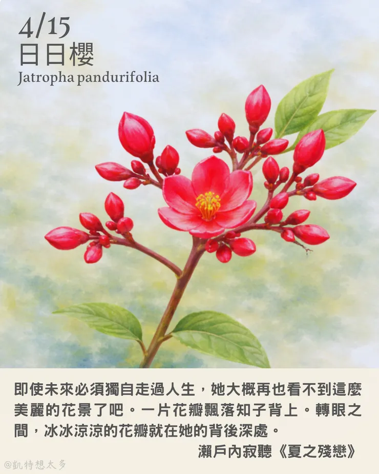 日日櫻×瀨戶內寂聽《夏之殘戀》