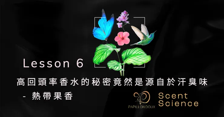 高回頭率香水的秘密