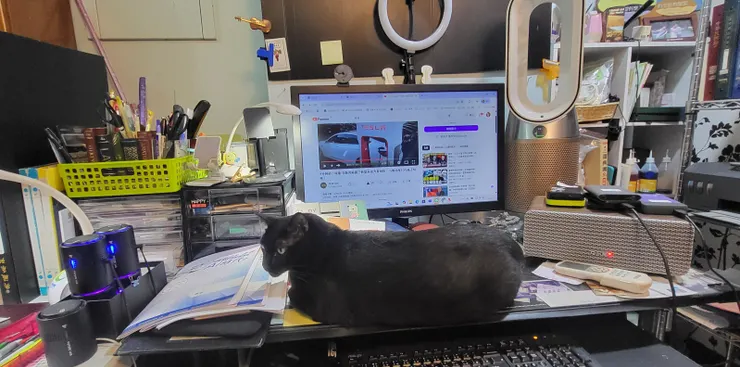 小黑(李建崑攝影)