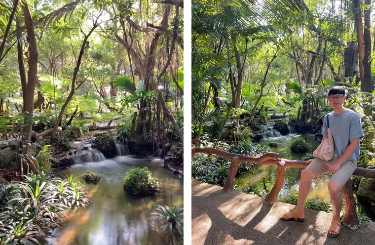 清邁米其林餐廳－黑森林餐廳