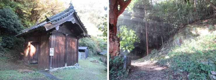 美麗的陽光早晨