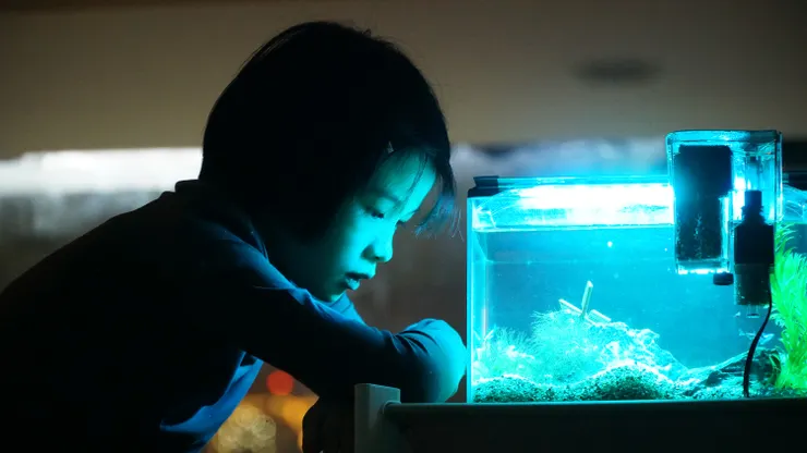 《抓耙仔》電影劇照／劇照提供：金馬執委會