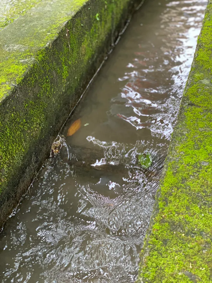 大坪林圳西幹線第八小給