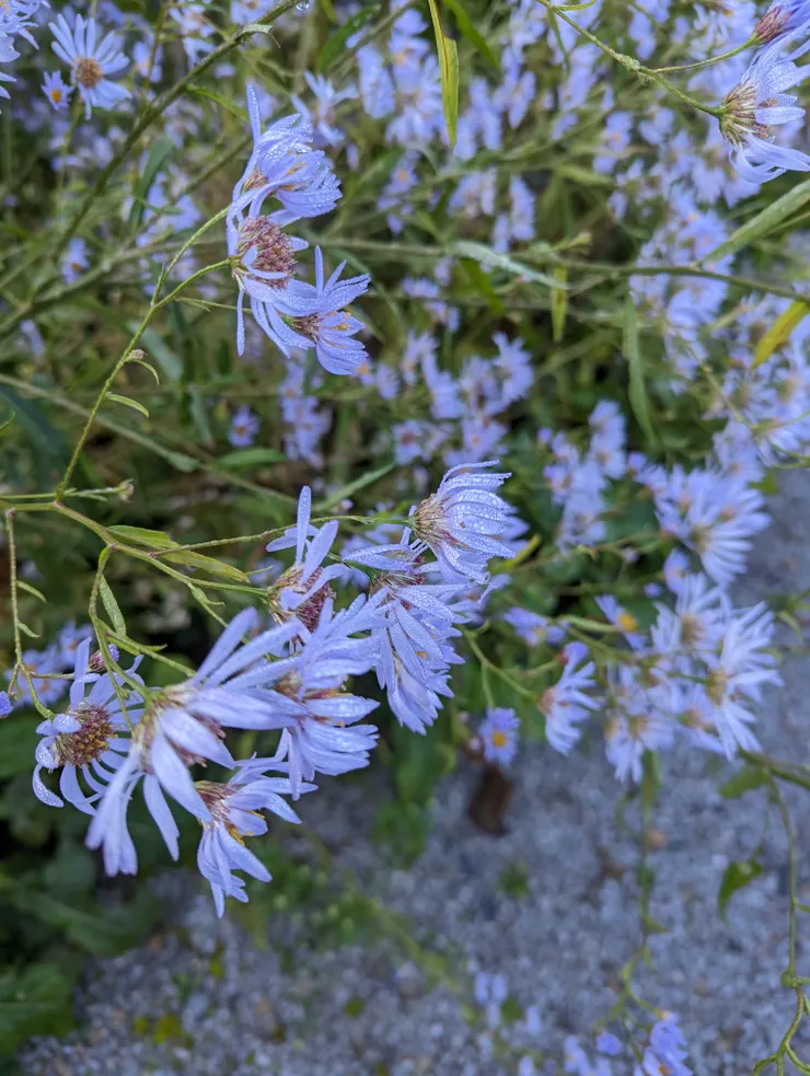 從大自然收到一份很棒的禮物~