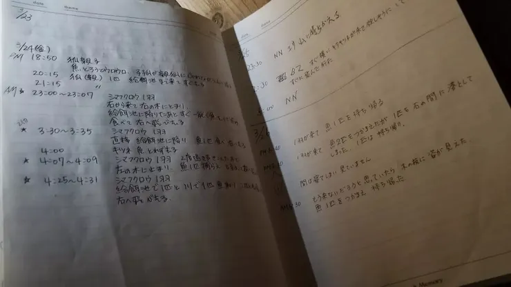 細心的到訪者的親筆記錄,記錄了貓頭鷹到訪的時間