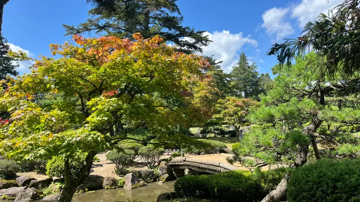 忍不住想停下來拍照。
