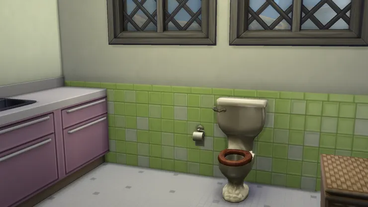 什麼時候才發明洗馬桶機?