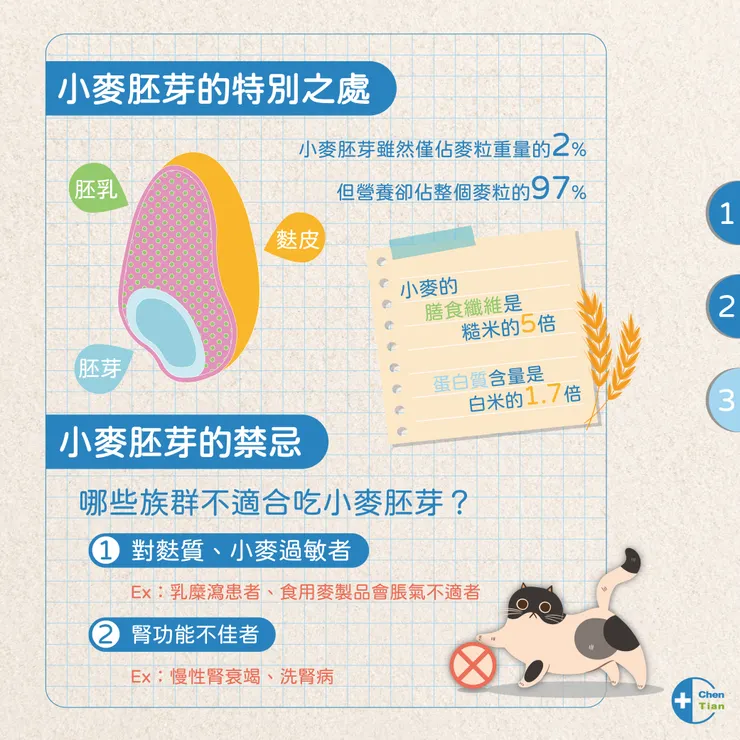 小麥胚芽的特別之處