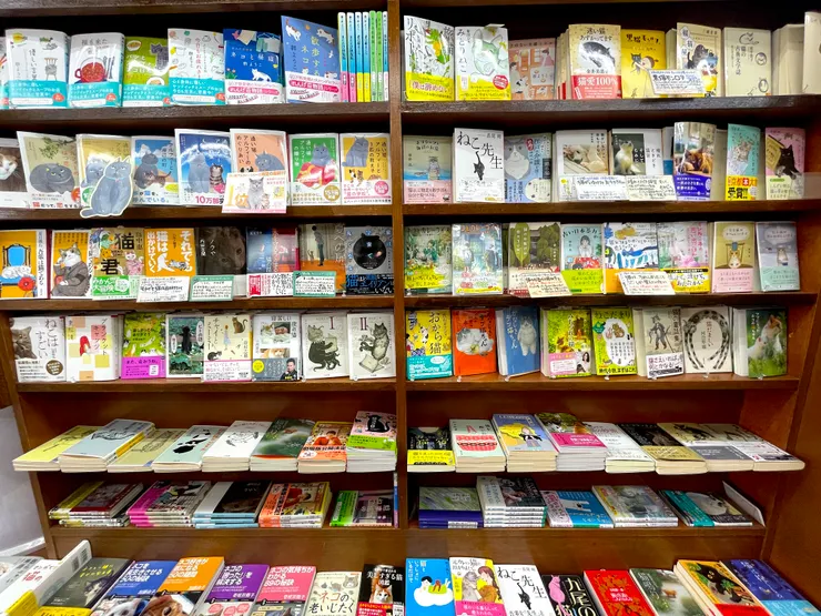 明明有這麼多的貓咪書持續出版,日本的出版到底是哪裡衰弱了啊!?