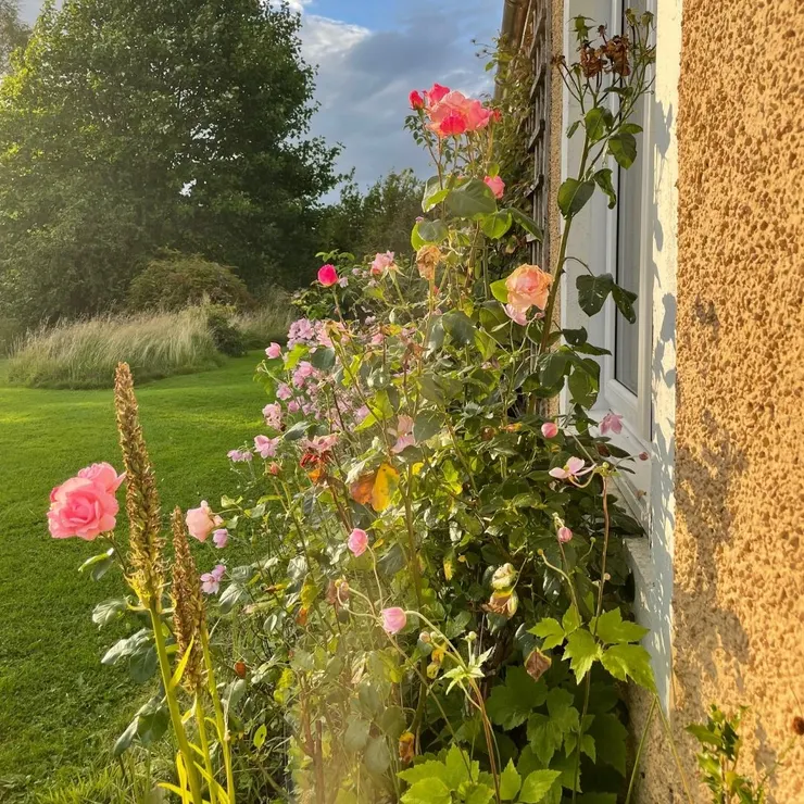 在格拉斯哥近郊的一間別墅小屋，有巨大的後花園，非常唯美。