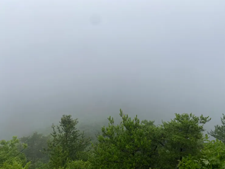 觀景台下一片的白茫茫