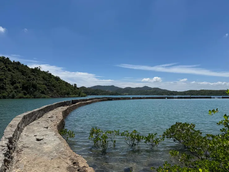 從另一邊看的風景