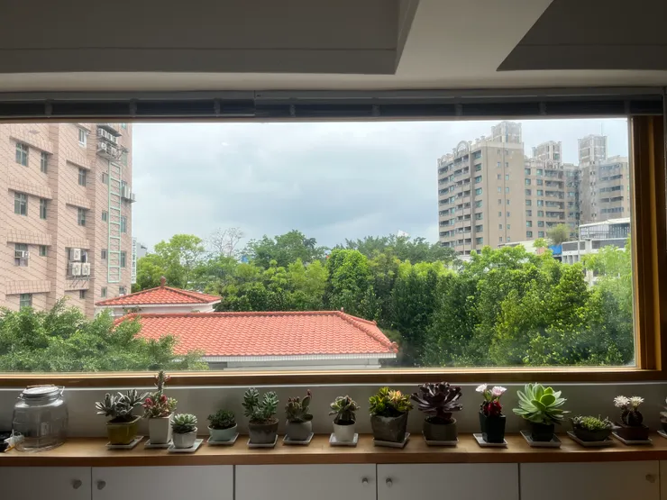 喜歡教室後面大片的窗戶 🌱 八月花蓮見！