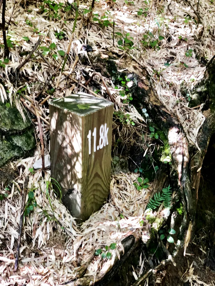 聖稜線終點(11.8K木樁)