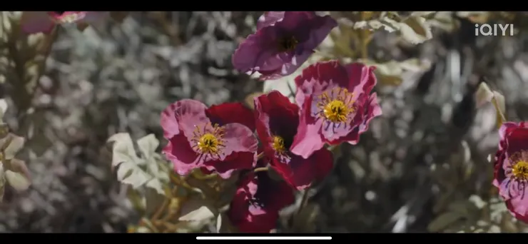 取自《唐朝詭事錄》