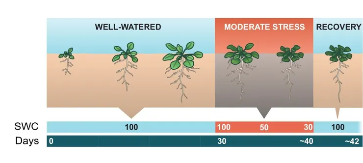 圖片取自Nat. Commun.