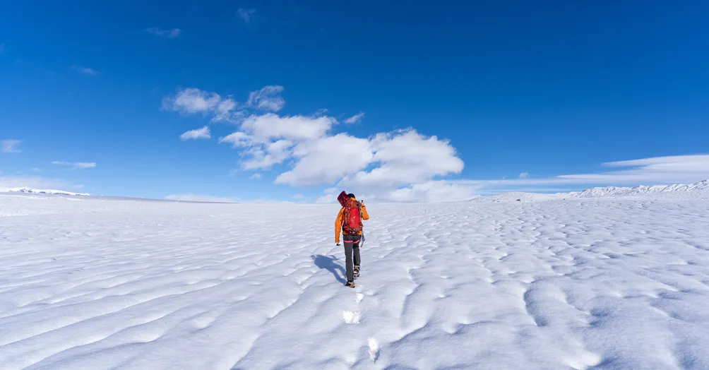 Miki & Rex 環遊世界度蜜年