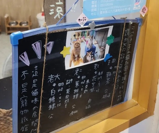 一些關於貓咪們的介紹,注意不要用力拍打玻璃以免下到貓咪們!