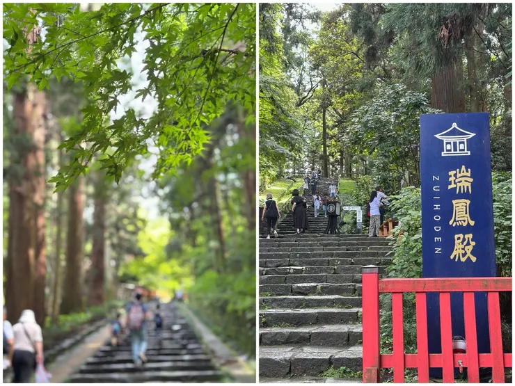 瑞鳳殿步道上方都是楓樹，秋天一片紅葉一定很美