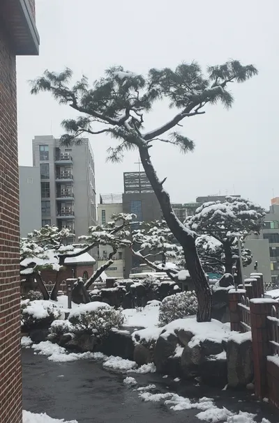 過完春節以為迎來的是........