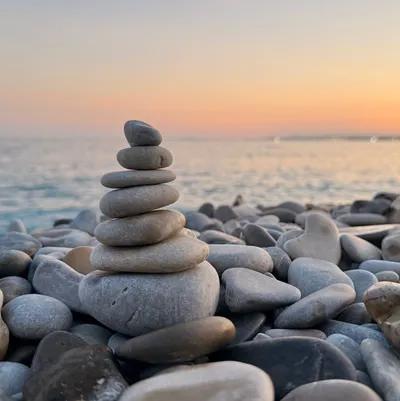 查爾斯的葡萄酒狂想曲