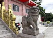 生靈活現的石獅（圖片截圖於網路）