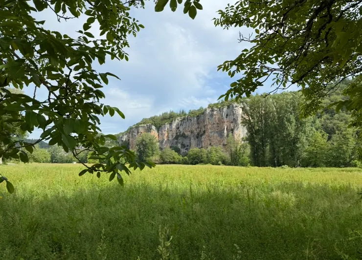 田園小徑美麗風景