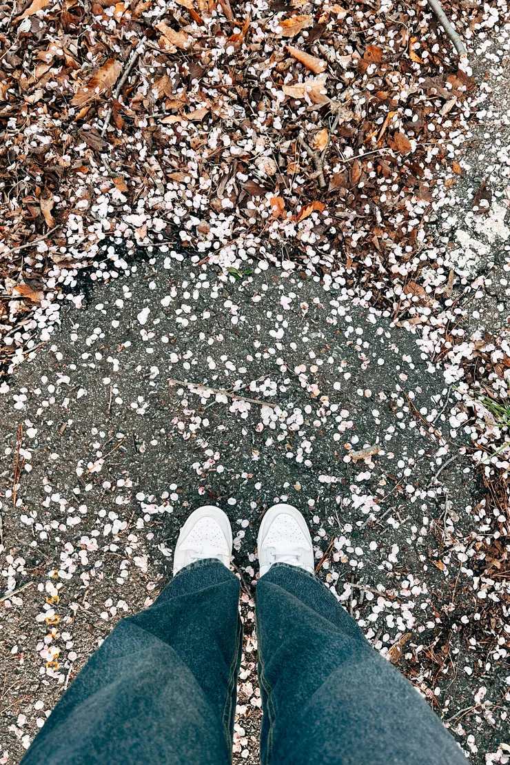 家附近有很棒的森林步道，可以善加利用