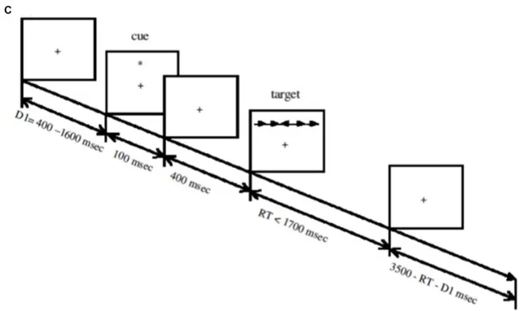 每個 Trial 的實驗流程