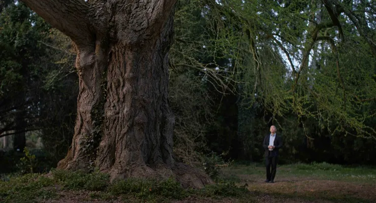 《你是不會當樹嗎》電影劇照／劇照提供：海鵬影業