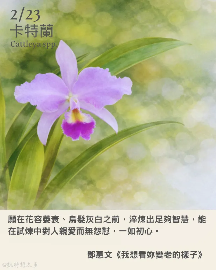 2 月 23日｜卡特蘭×鄧惠文《我想看妳變老的樣子》