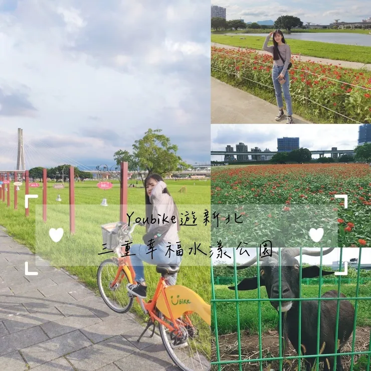 【雙北遊】🚴‍♂️雙北最美8條單車路線！邊騎邊玩超愜意，適合