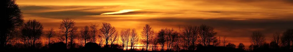 迷茫人生的沙龍