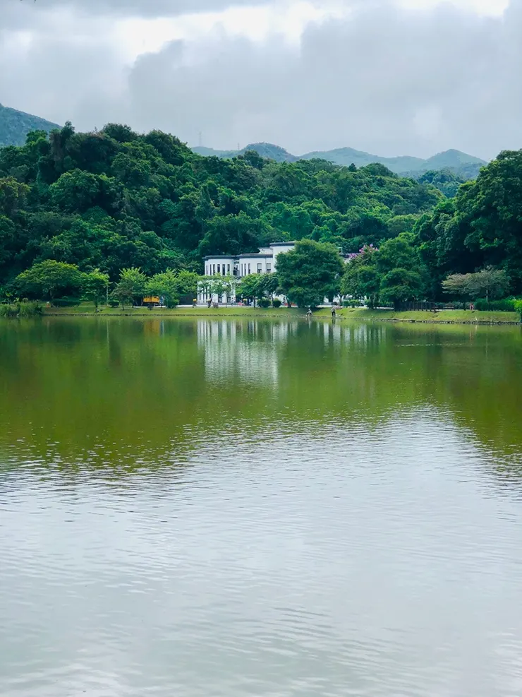 碧湖公園內的管理中心，又稱＂小白宮＂，一樓是閱覽室。