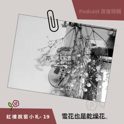 紅樓脫窗小札19-雪花也是乾燥花