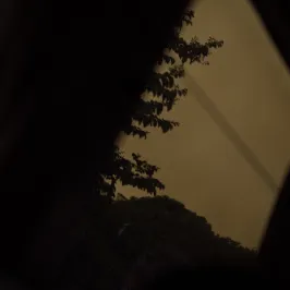 廢墟筆記的沙龍