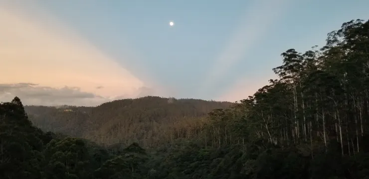 讓人想大叫的山谷