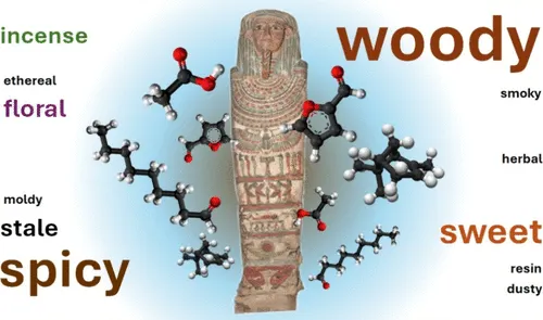 圖片來源：請詳文末引用