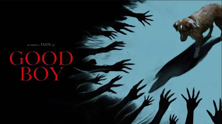 Good Boy（2025）