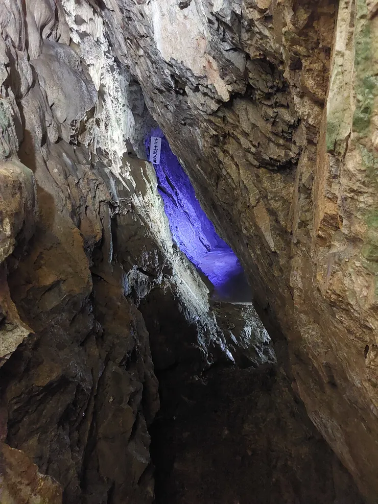 拍得有點模糊，但可以感覺到空間非常狹長，紫色光線後面是水池的樣子