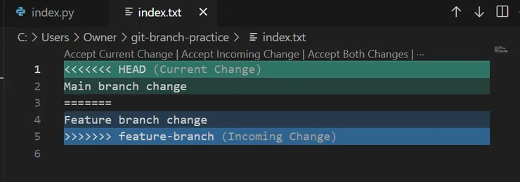 可以用 VS Code 開來看，綠色是原本的程式碼，藍色是想要修正的文字，兩者有衝突不能合併