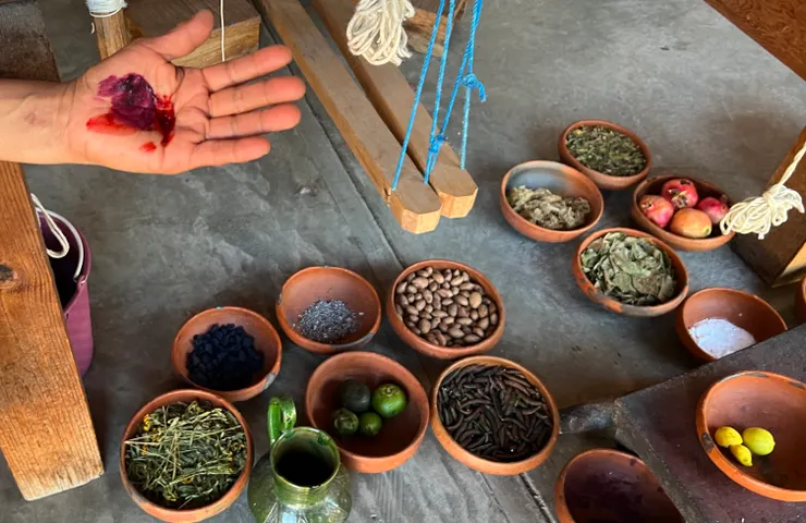 Zapotec的天然染料