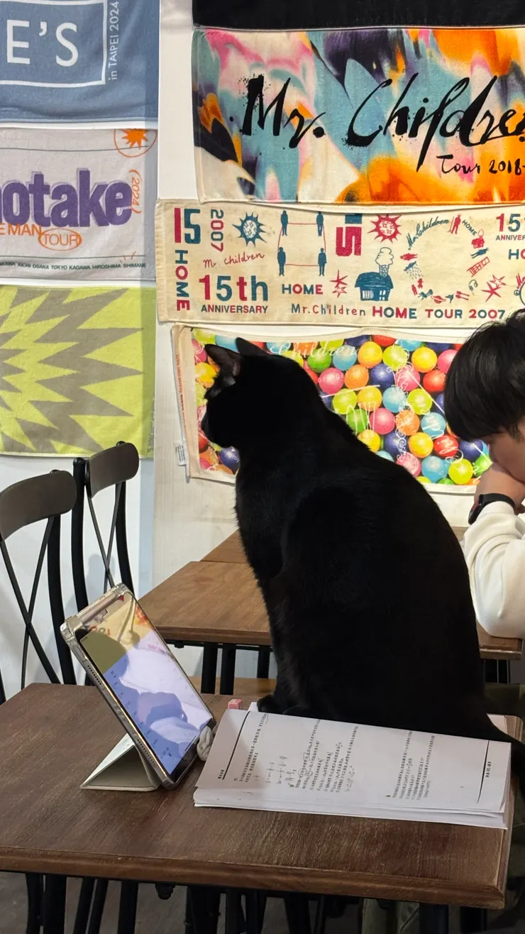 鶴屋咖啡 Zuruya Cafe｜店貓陪讀服務