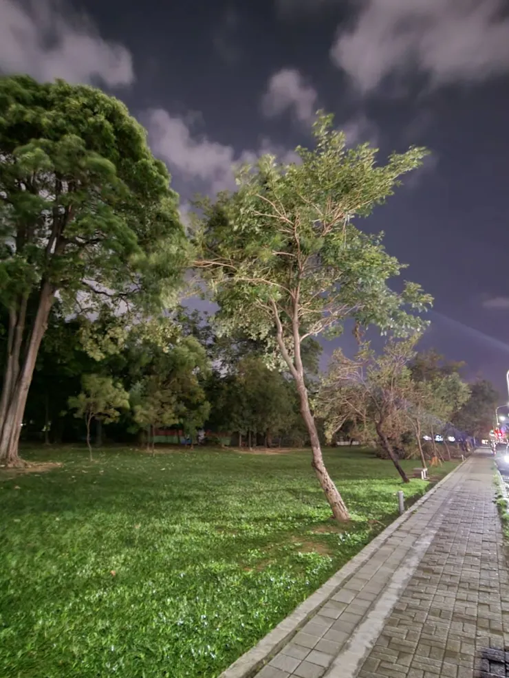 DAY 2
只是長的柔弱了點...