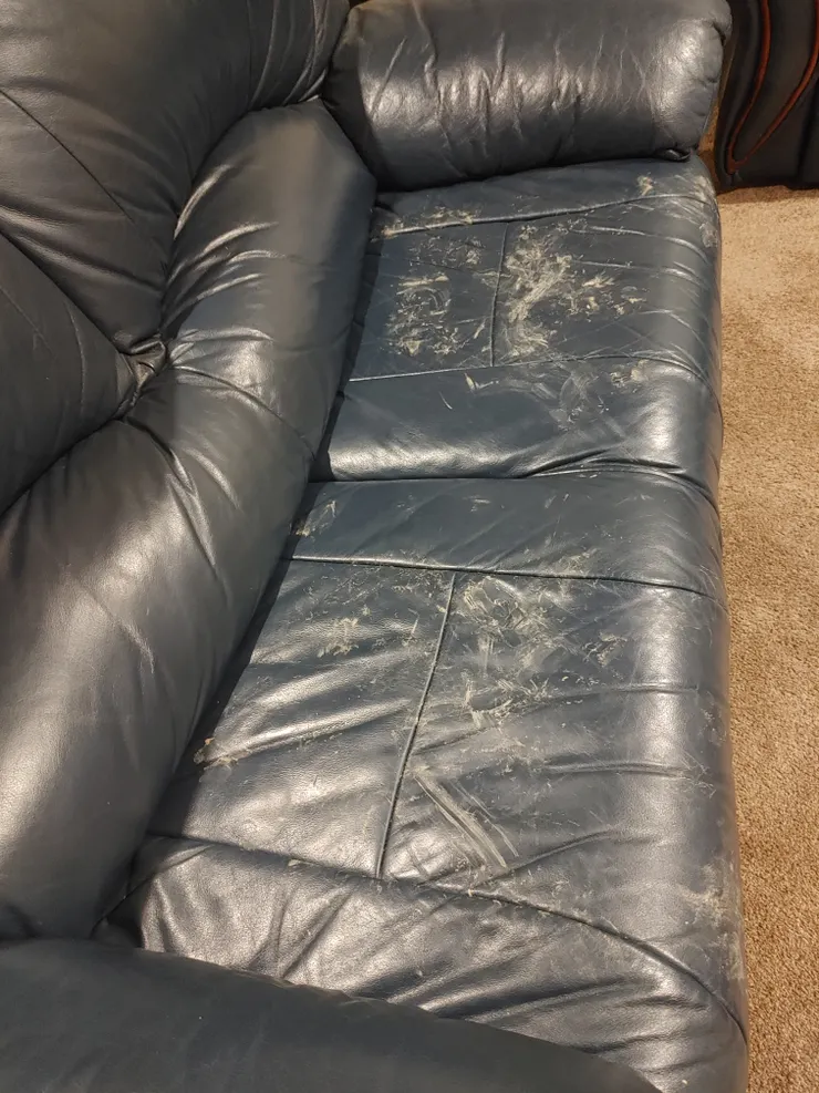 隨心自在的歡快