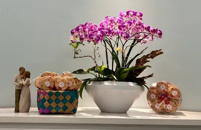 期待那一天的沙龍