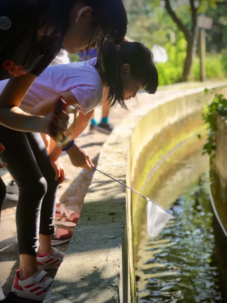 進入水圳步道這段就開心了